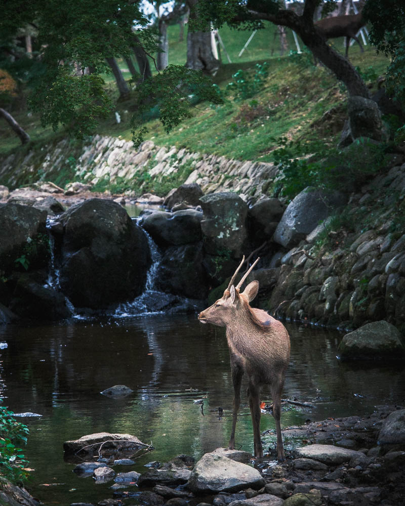 Japan