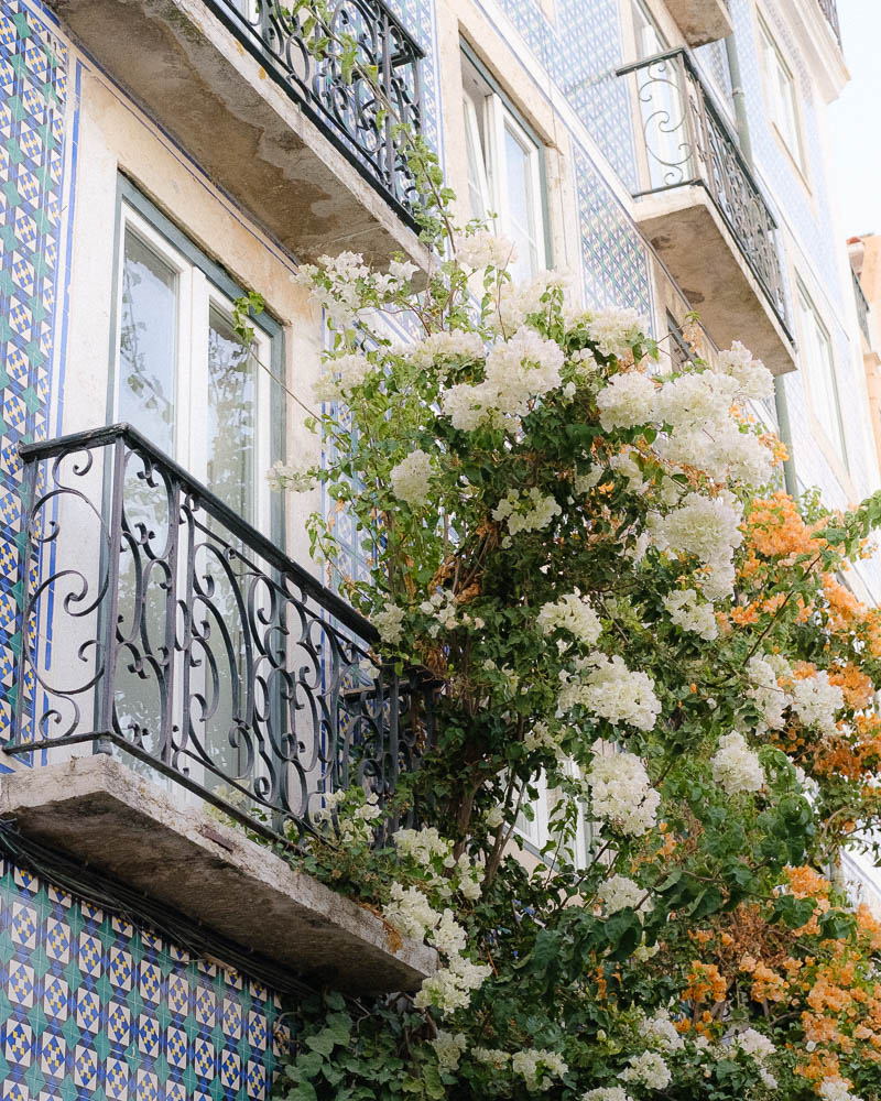 Lisbon